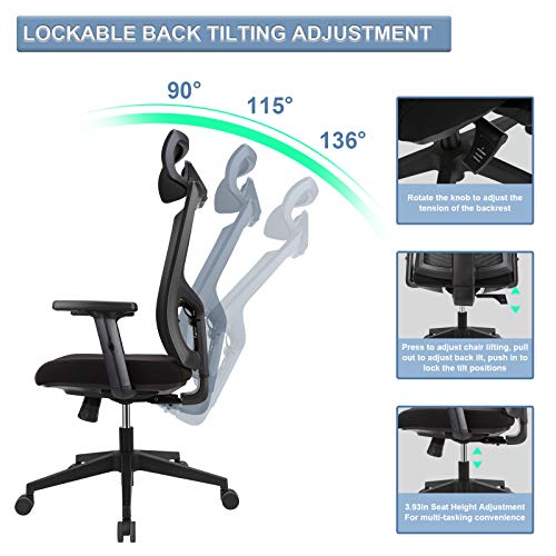 Ergousit Ergonomic Office Chair High Back Desk Chair with Adjustable Lumbar Support &Thick
