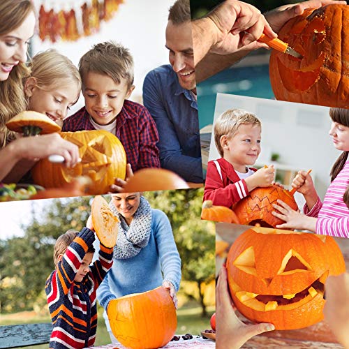 LOVEINUSA 14 Piece Professional Pumpkin Carving Tool Kit Carve Sculpt Halloween Jack-O-Lanterns