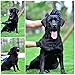 Honfill Pet Grooming Glove, Breathable Pet Hair Remover Mitt, Efficient Pet Deshedding Brush, Gentle Pet Washing Massage Tool Excellent for Dogs&Cats Short or Long Fur Five Finger Design, One Pair