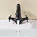 Rozin Dragon Shape Bathroom Sink Faucet 2 Knobs Vanity Basin Mixer Tap Oil Rubbed Bronze