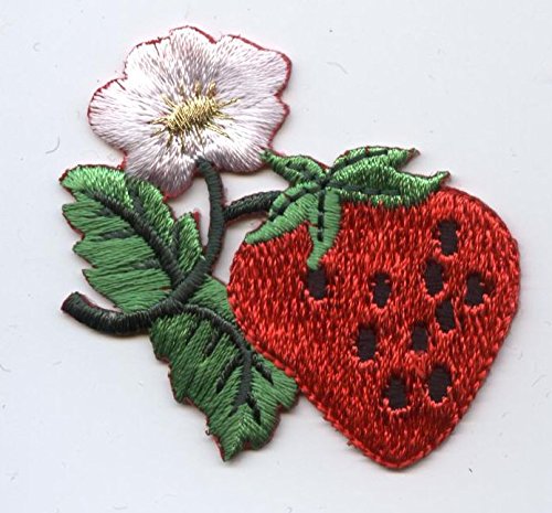 Single Strawberry with White Flower Blossum Iron on Embroidered Patch