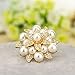 Casualfashion 2Pcs Fashion Rhinestones Pearls Flowers Crystals Wedding Party Shoe Clips (Gold)