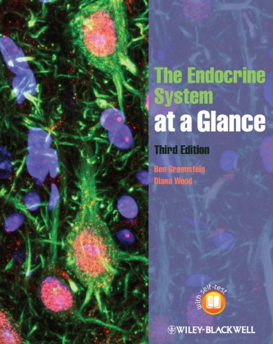 The Endocrine System at a Glance 3e