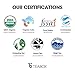 Teabox Nilgiri White Tea, Tropical Fruit Flavoured | Certified Organic, Fresh, Exotic, Smooth Herbal Tea Selection | Unblended Single-Origin Loose Leaf Teas | Ethical & Fair Trade | Set of 16 Tea Bags