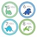 Pinkie Penguin Dinosaur Baby Monthly Stickers - Milestone Onesie Stickers - 1-12 Months