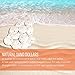 Shore Decor: White Sand Dollars - All-Natural Sand Dollar Shells (2-3 Inch) - Sand Dollars for Home Decor, Holidays, Events, Gifts, and Crafting - White Sand Dollar Beach Decoration (20, 2
