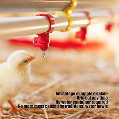 Heepdd 20pcs Automatic Water Nipple Drinker Waterer Poultry