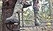 Hurricane Safety Systems Treestand PowerStep