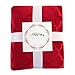 Sherpa Blankets Throws for Womens Girls Faux Furs Fleeces Youth Mens Winter Boyfriends Valentines Fuzzy Soft Warm Plush Fluffy Pretty Washable Cozy TV Blanket, Travel Size 50x60 Rust Red