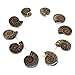 Justinstones 10pcs Side Drilled Natural Ammonite Fossil Loose Gemstone Beads
