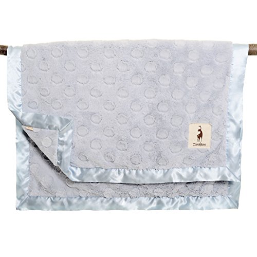 careAboo Luxury Dot Baby Blanket, 30" x 40" - Blue