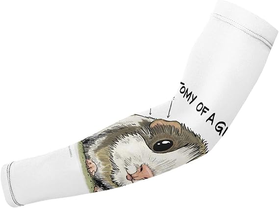 Amazon.com: Anatomy of a Guinea Pig Arm Sleeves UV Protection for Men