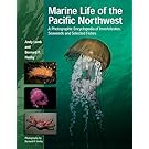 Marine Life of the Pacific Northwest: A Photographic Encyclopedia of Invertebrates, Seaweeds And Selected Fishes