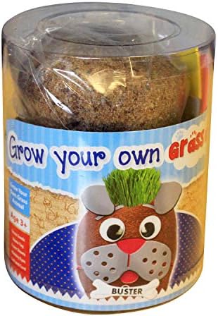 Pet Craze Grow Your Own Grass Animal – Buster the Dog – Creative Arts and Crafts for Kids Ages 5+