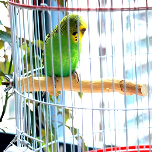 Borange Bird Perch Parrot Perches Natural Wood Branches for Parakeets for Small Large Birds Cockatiel Conure Cage Accessory (15cm/6 inch) - Thumbnail 2
