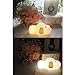 Silicone LED Papa Puppy Night Light Touch Sensor Switching Night Lamp, Transform Between Warm White 2700K and White 6500K, Safe SIL+ABS, Sleep Timer Setting for Kids Babies Bedside and Nursery