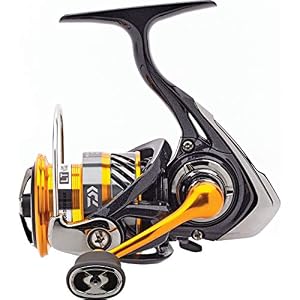 Daiwa – Moulinet Revros 19 Lt 5000 C – Rev19lt5000c