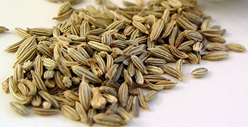200 Fennel Seeds / Foeniculum Vulgare / Absinthe Herb