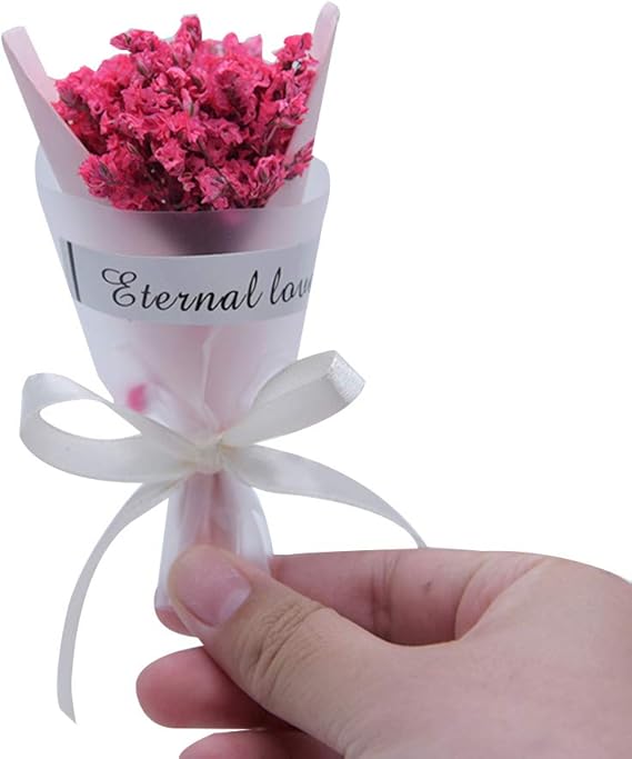 Amazon Co Jp Toginanle 造花 フェイクグリーン 装飾 花束 ミニブーケ 標本 満天星 ミニ ミニ ジプソフィラ ドライブーケ 単色 写真 支柱 誕生日プレゼント パーティーの装飾 結婚式の装飾 12センチ 服 ファッション小物