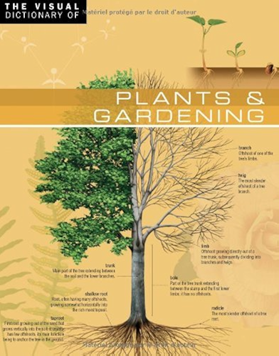 Download The Visual Dictionary of Plants & Gardening (English Edition) PDF