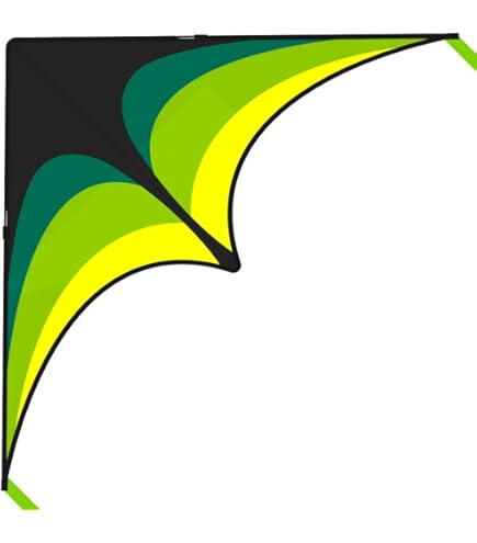 Amazon.com: Simxkai Kite String Reel, Kite String Spool,Line