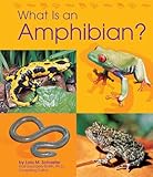 What Is an Amphibian? (The Animal Kingdom)