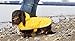 RC Pet Products Packable Dog Rain Poncho, Sunshine, Small