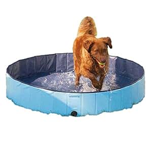 dog pool amazon ca
