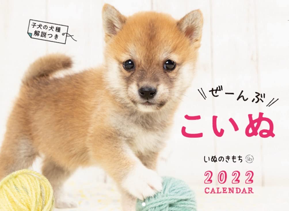 Amazon Co Jp いぬのきもち大判カレンダー22 いぬのきもち特別編集 文房具 オフィス用品