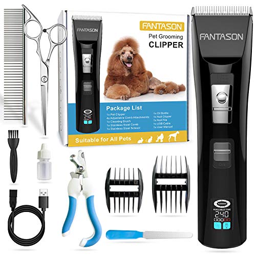 schnauzer grooming kit