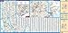 Laminated Manhattan Map by Borch (English Edition)