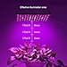 45W Led Grow Lights, Lightimetunnel Upgraded Plant Grow Light Full Spectrum for Indoor Plants Seedling Growing and Flowering …