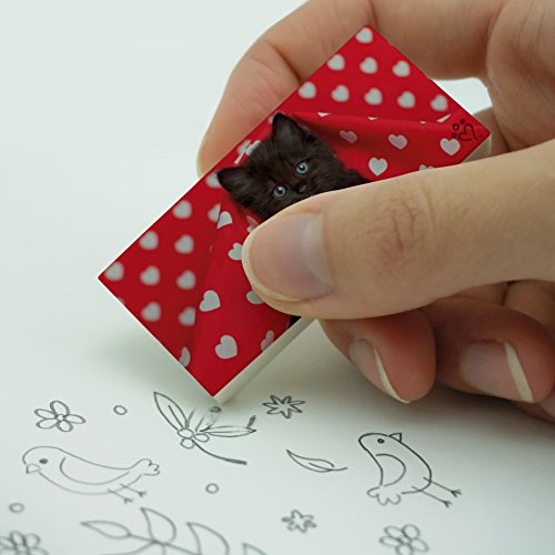 Black Ragdoll Tiffany Cat Kitten Hearts Love Eraser Set of 2