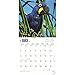 Parrots 2018 12 x 12 Inch Monthly Square Wall Calendar, Domestic Wildlife Animals Bird Tropical Rainforest