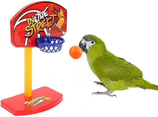 birdie basketball
