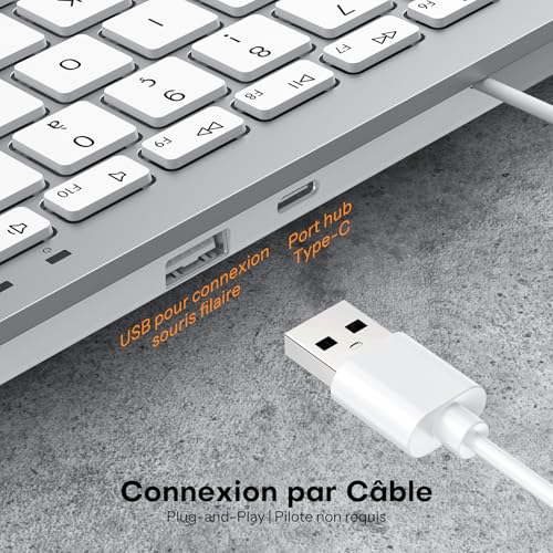 OMOTON Clavier et Souris Filaire pour Mac avec Double Interface, USB et Type-C Compact Ensemble Clavier et Souris Compatible avec Apple MacBook Pro/Air, iMac, Mac Mini, AZERTY FR, Argent