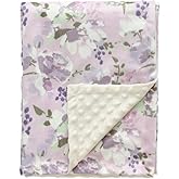 CREVENT Baby Girls Blanket for Crib Stroller Cot Cradle Car, Supper Soft and Pretty - Lavender Grapes 30x40 Inches
