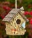 Dawhud Direct Hanging Bird Houses for Outside, Hand-Painted Bird Houses for Outdoors Decorative Birdhouses (Butterfly and Mushrooms) Solid Made for Bluebirds, Sparrows, Chickadees and Purple Martins