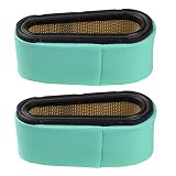 Hipa (Pack of 2 496894S 496894 493909 Air Filter with 272403S 272403 Pre Filter for Briggs & Stratton 12.5-17 HP 5053K