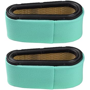 Filtro De Aire Para Motor BRIGGS STRATTON 493909 496894
