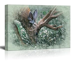 Canvas Print Landscape Wall Art - Buck Casually Grazing on The Grass - Gallery Wrap Modern Home Art | Ready to Hang -12x18 inches