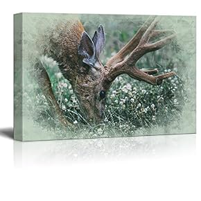 Print Landscape Buck Casually Grazing on The Grass