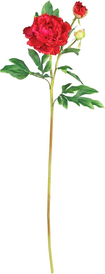 Amazon 造花 38 5インチ レッド牡丹 葉の茎付き 12個の花セット 造花 オンライン通販