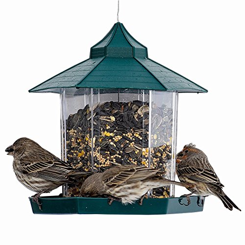 Amazon Com Widen Electric Bird Feeder Innovative Hanging Outdoor