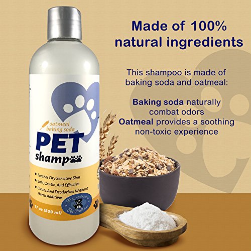 Top 18 Best Dog Shampoo for Itchy SkinYour Ultimate Choice Hellow Dog