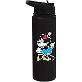 Disney Classic Minnie Mouse Graphic Stainless Steel Insulated Water Bottle