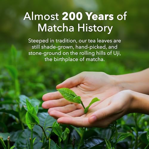 Ujido Matcha Green Tea Powder - Sweetened with Japanese Monk Fruit - Sugar Free (20g x 10 packets)