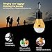 AIYEGO Portable Solar Light Bulb, Dimmable 165LM Solar Powered Lights Emergency Lights with 1000mAh Rechargeable Battery for Outdoor, Hiking, Camping, Tent, Home, Chicken Coop (Yellow)