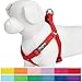 Blueberry Pet Essentials Step-in Dog Harness, Small Size | Adjustable Rouge Red Vest | Classic Solid Nylon for Boy & Girl Dogs, Chest Girth 16.5
