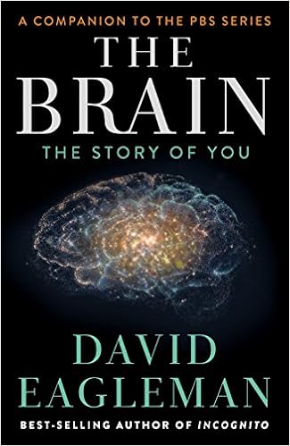 The Brain The Story Of You Eagleman David Amazon De Bucher